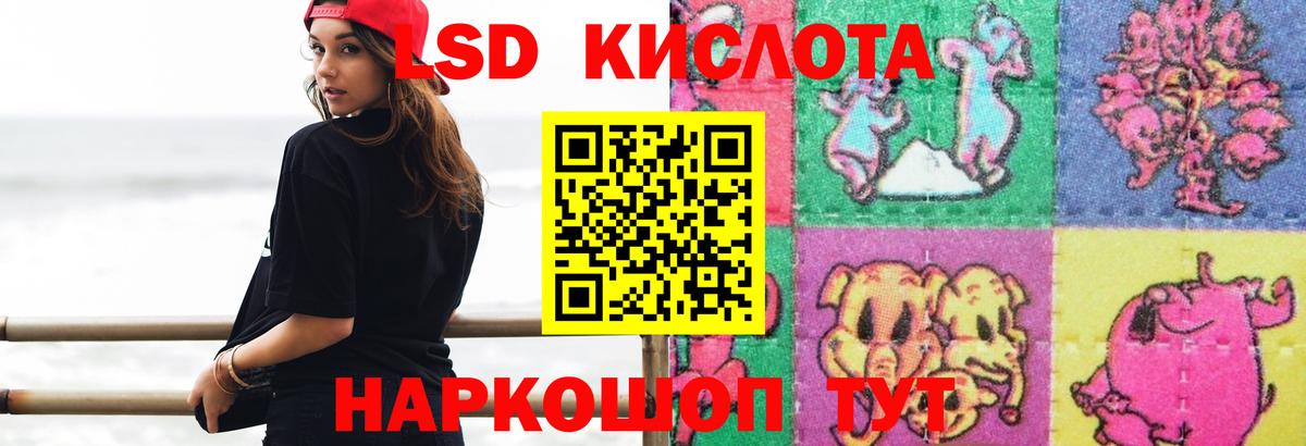 Камышлов  Лсд 25 экстази кислота  Лсд 25 экстази  Вход с VPN 